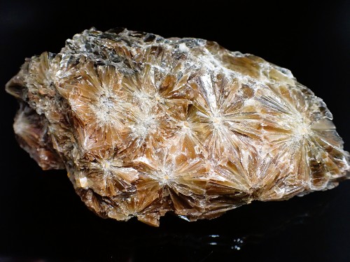 Gypsum var. Daisy Wheel
