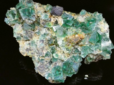 Fluorite and Galena
