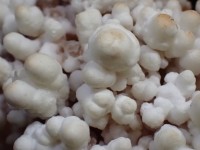 Aragonite on Calcite