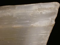 Gypsum var. Satin Spar