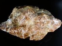 Gypsum var. Daisy Wheel